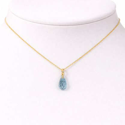 Coelacanth pendant by Atelier RMR Montreal